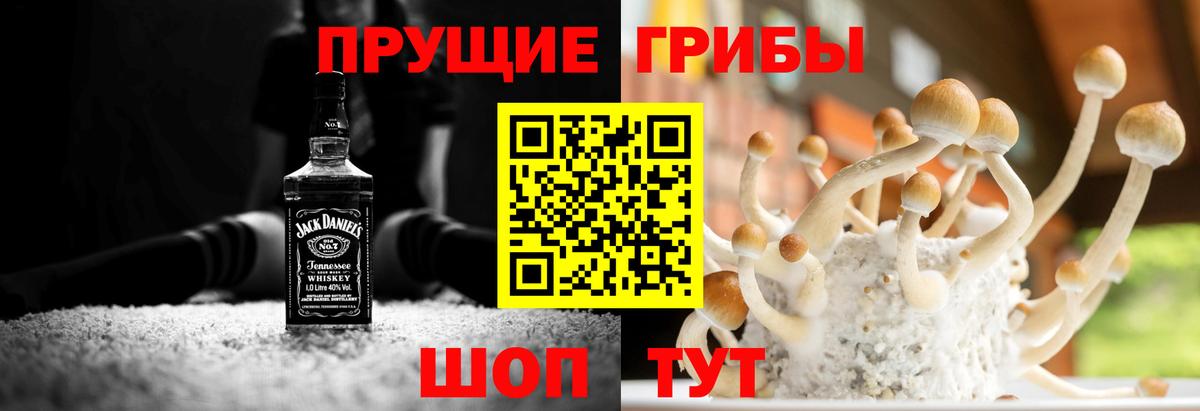 Псилоцибиновые грибы MAGIC MUSHROOMS  Вход с VPN  Псилоцибиновые грибы Psilocybe  Каменск-Уральский 